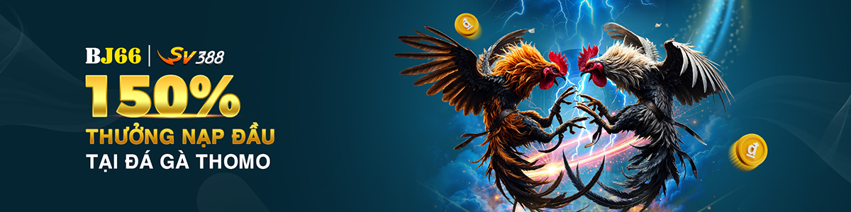 150% Cockfight 1200px 300 px