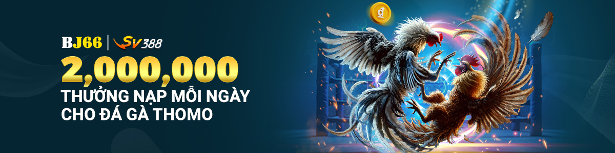 200K Kcofight 1200px 300 px