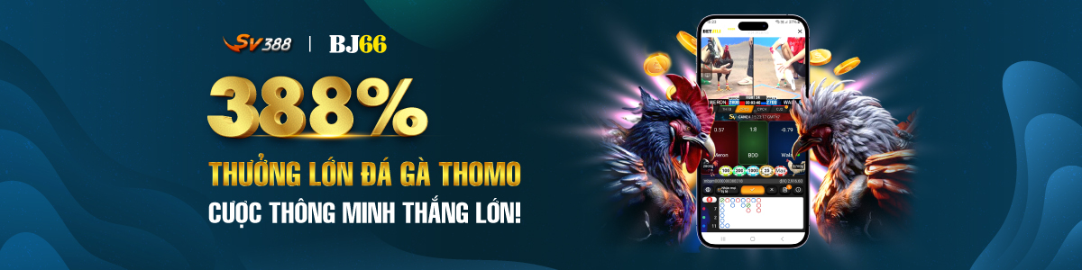 388% Cockfight BJ66 1200px 300 px